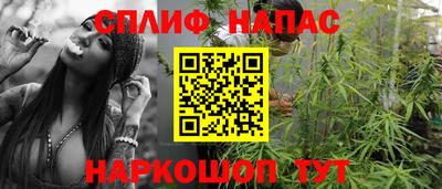 дмт Дубна