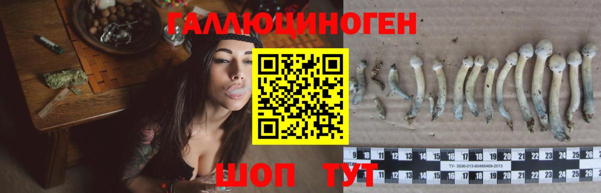 Псилоцибиновые грибы Magic Shrooms  Вход с VPN  Дальнегорск 