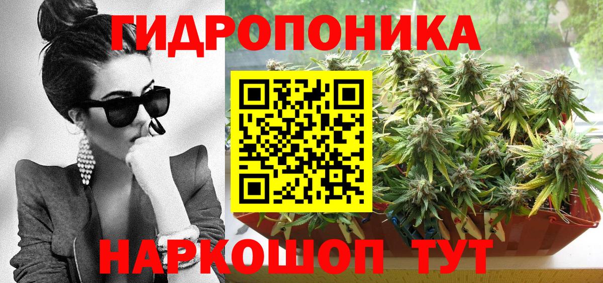 Конопля гибрид Дальнегорск